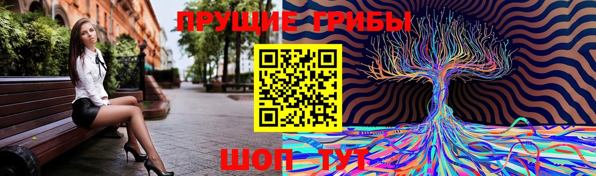 Тайшет  Галлюциногенные грибы Psilocybe  Вход с VPN 